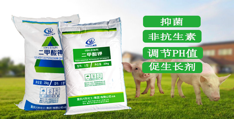 二甲酸鉀是什么？真的能替代抗生素在飼料添加劑中使用嗎？